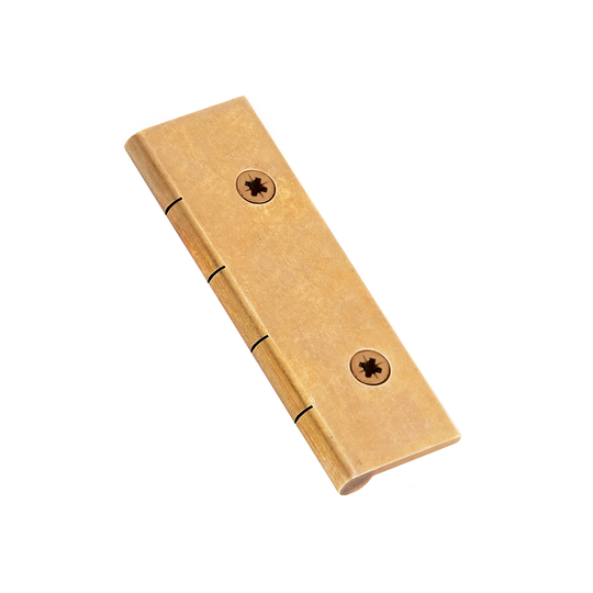 Dummy Hinge with Pozi Screws