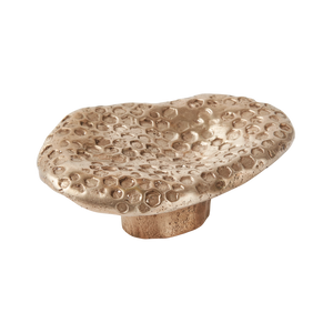 Highbury Honey Silicon Bronze Oval Pull Handle