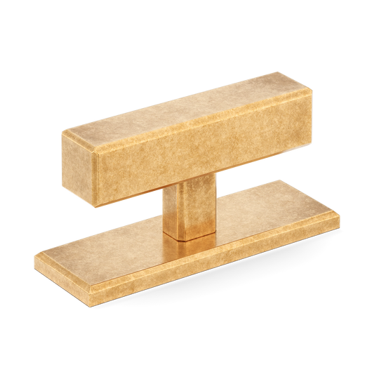 Digbeth Plain T-bar Handle with Backplate