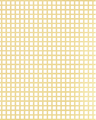 Square Perforated Grille