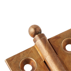 Product shown in our aged brass (BEL) finish