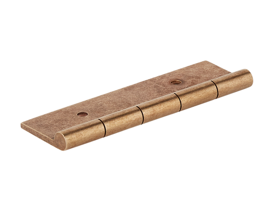 Sample of Dummy Hinge