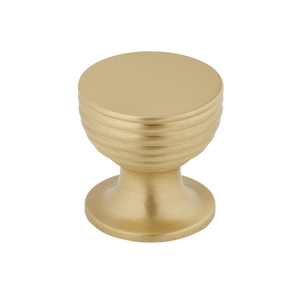 Sample of Aston Cabinet Knob