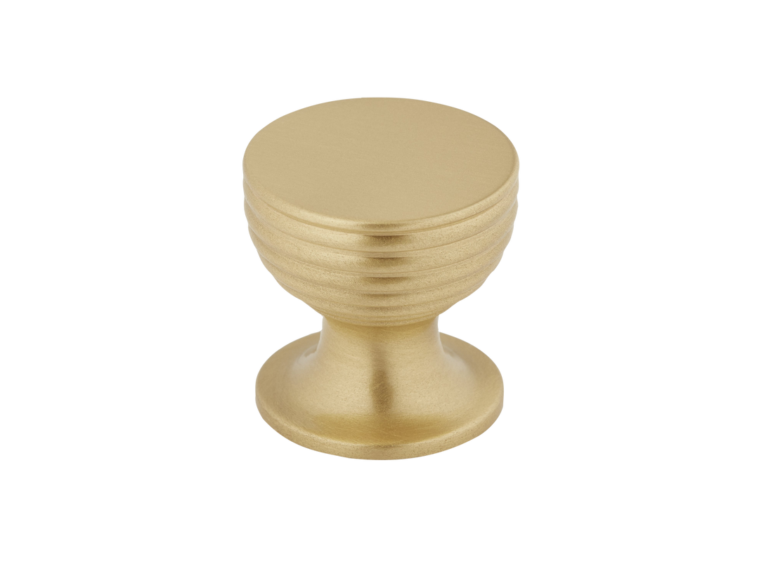 Sample of Aston Cabinet Knob