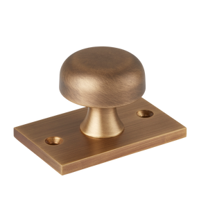 Sample of Washwood Cabinet Knob with Backplate