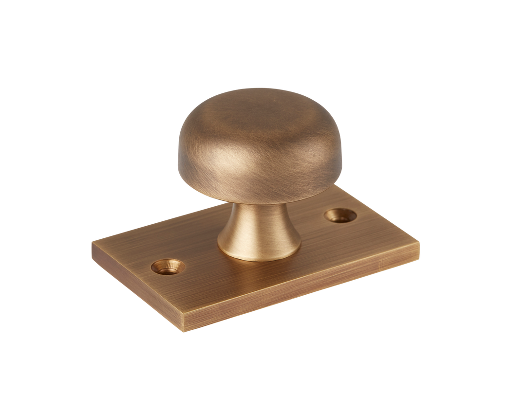 Sample of Washwood Cabinet Knob with Backplate