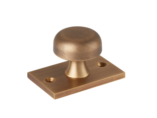 Sample of Washwood Cabinet Knob with Backplate