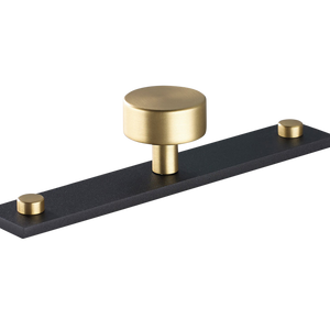 Sample of MIX Plain Cabinet Knob & Backplate - Mixed Finish