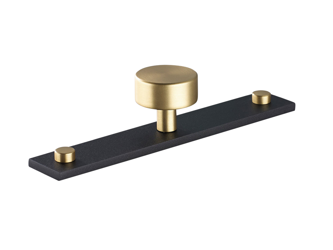 Sample of MIX Plain Cabinet Knob & Backplate - Mixed Finish